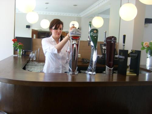 Phoenix Park Hotel - image 7