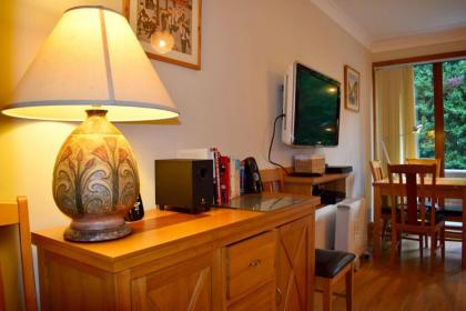 Cozy Ballsbridge Apartment - image 10