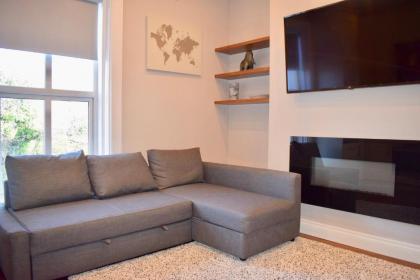 2 Bedroom Apartment near the Aviva - image 1